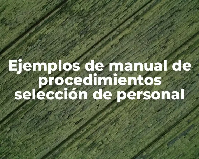 Ejemplos de manual de procedimientos selección de personal