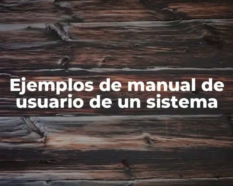 Ejemplos de manual de usuario de un sistema