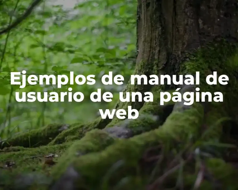 Ejemplos de manual de usuario de una página web