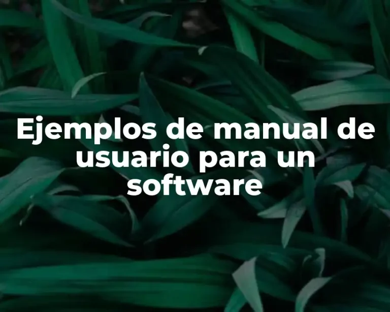 Ejemplos de manual de usuario para un software