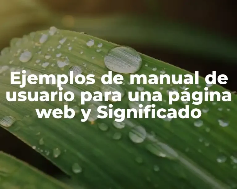 Ejemplos de manual de usuario para una página web y Significado