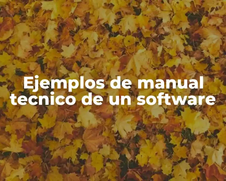 Ejemplos de manual tecnico de un software