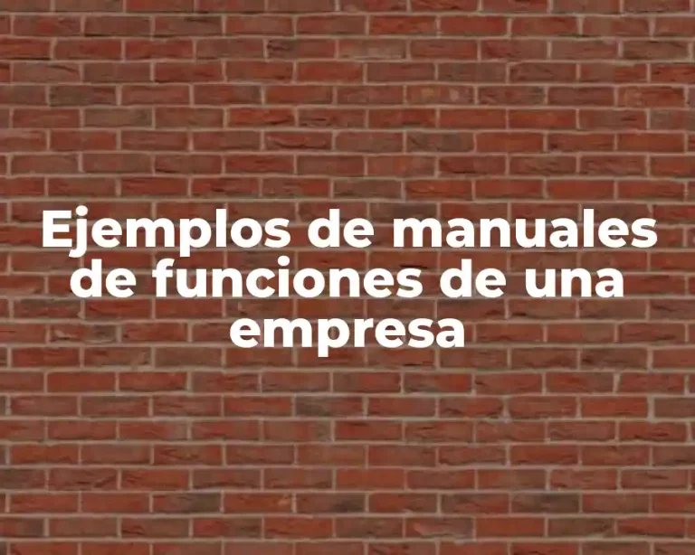 Ejemplos de manuales de funciones de una empresa
