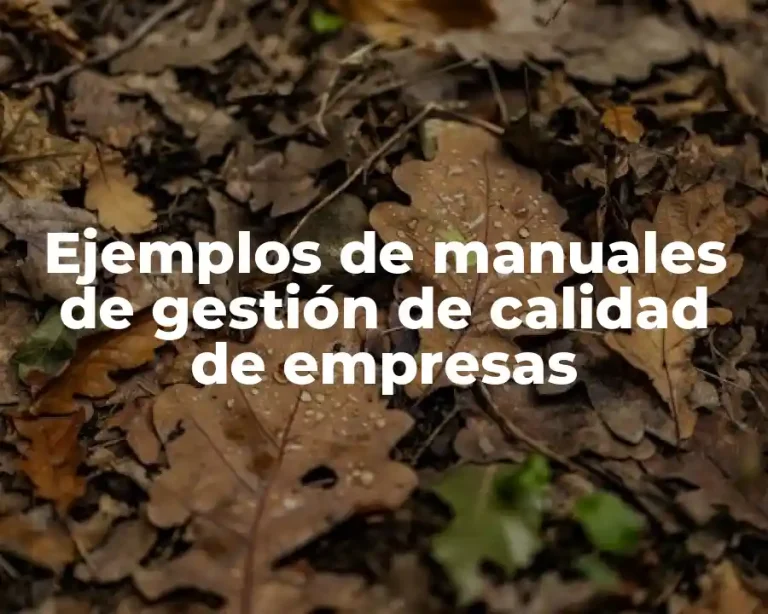 Ejemplos de manuales de gestión de calidad de empresas