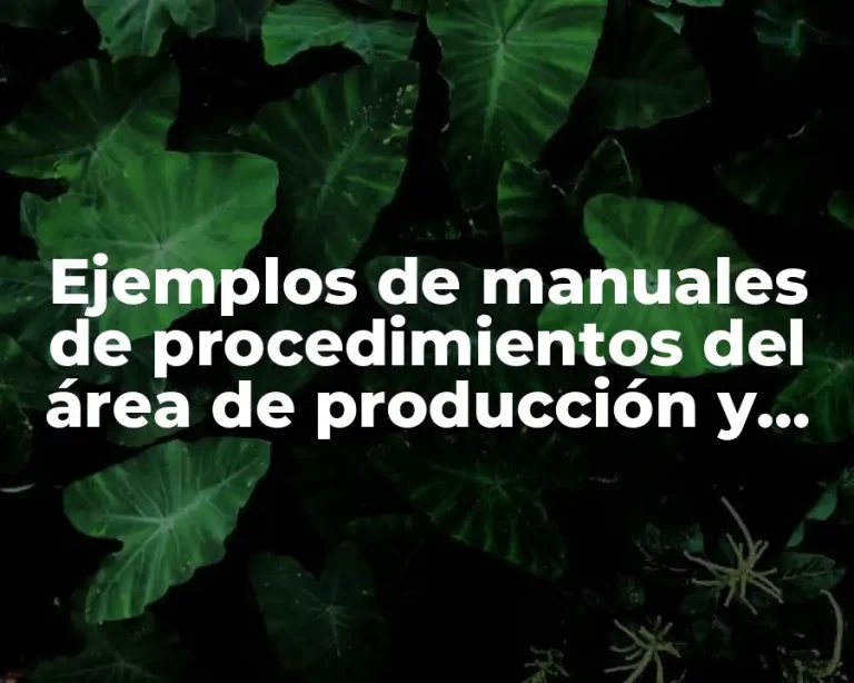 Ejemplos de manuales de procedimientos del área de producción y Significado