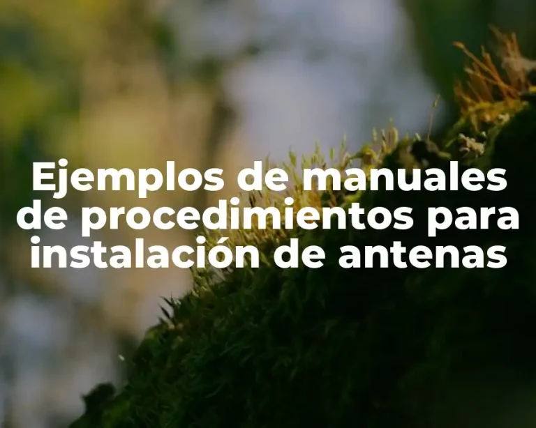 Ejemplos de manuales de procedimientos para instalación de antenas