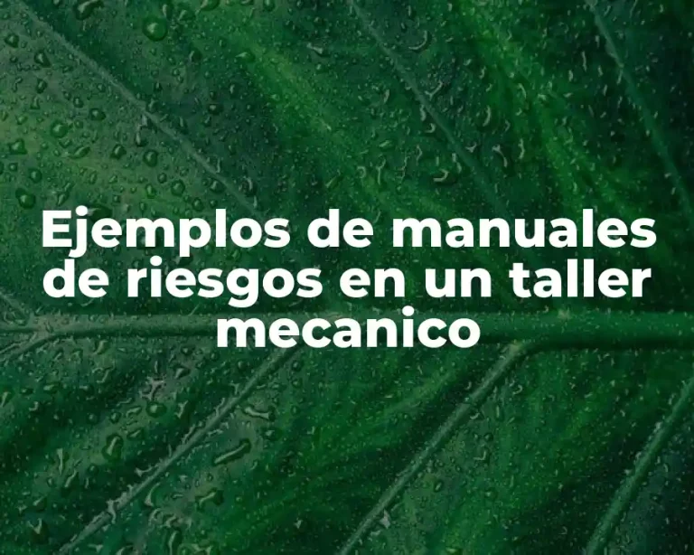 Ejemplos de manuales de riesgos en un taller mecanico