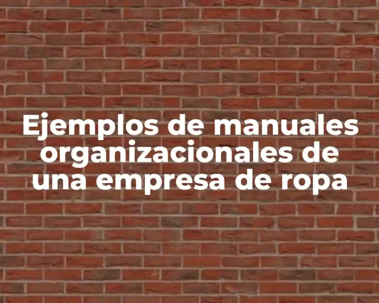 Ejemplos de manuales organizacionales de una empresa de ropa