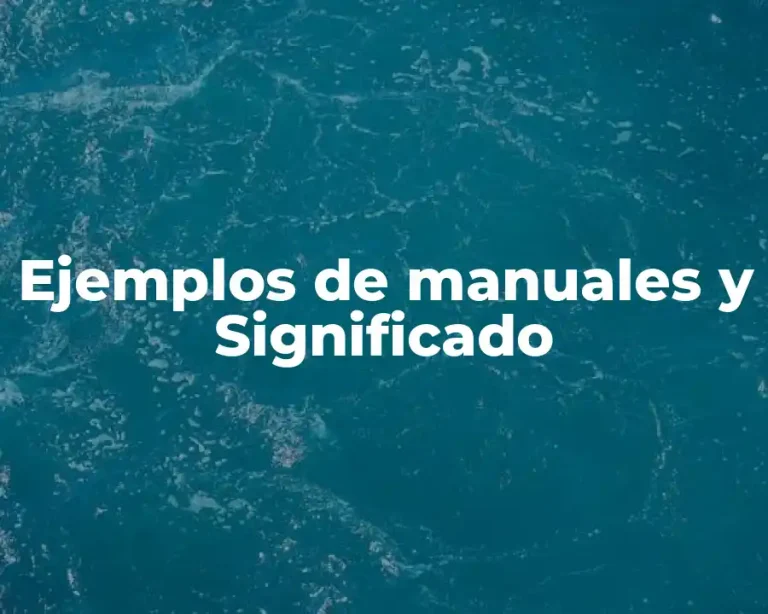Ejemplos de manuales y Significado