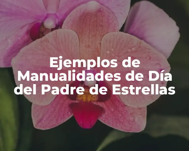 Ejemplos de Manualidades de Día del Padre de Estrellas