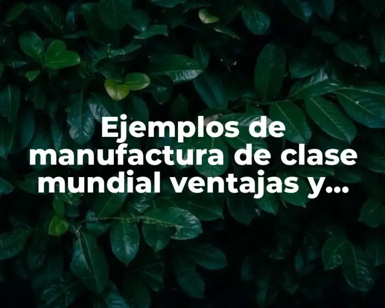Ejemplos de manufactura de clase mundial ventajas y desventajas