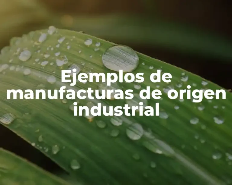 Ejemplos de manufacturas de origen industrial