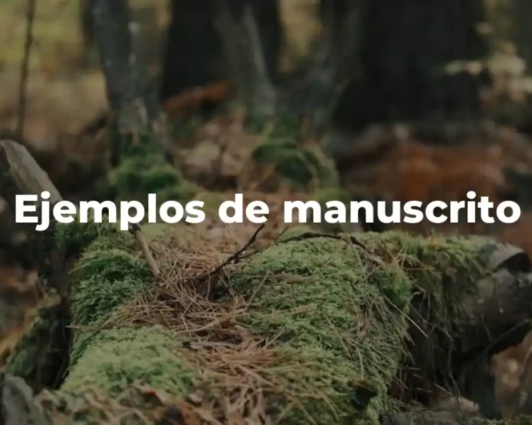 Ejemplos de manuscrito