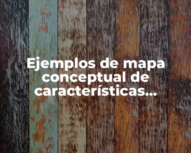 Ejemplos de mapa conceptual de características culturales en salud