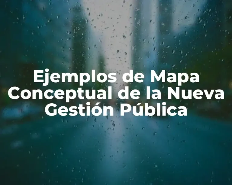 Ejemplos de Mapa Conceptual de la Nueva Gestión Pública