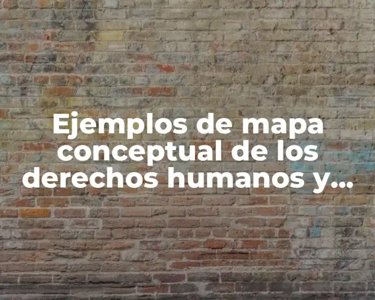 Ejemplos de mapa conceptual de los derechos humanos y Significado