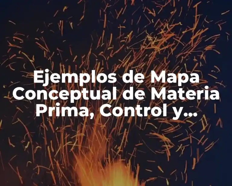Ejemplos de Mapa Conceptual de Materia Prima, Control y Clasificación