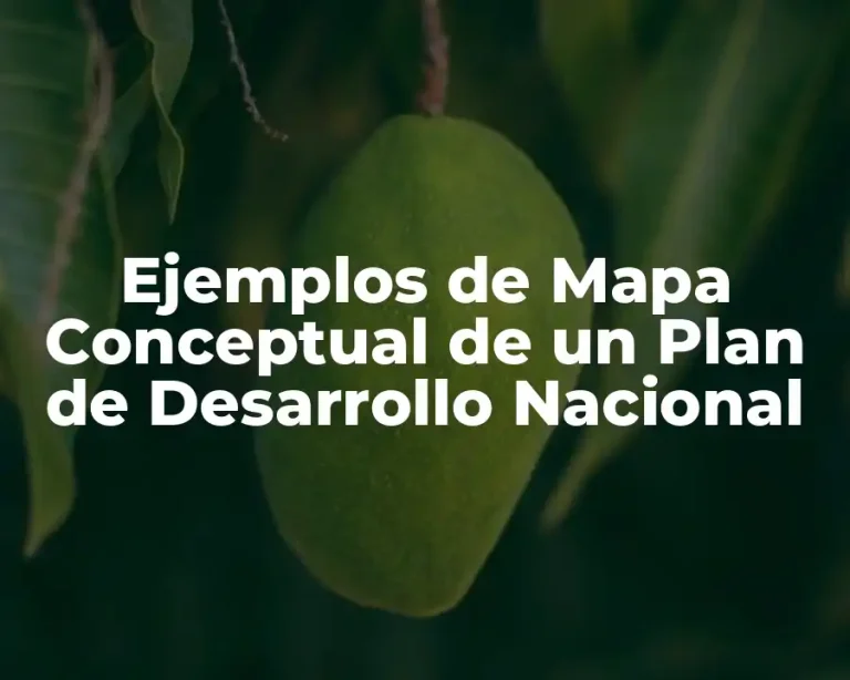 Ejemplos de Mapa Conceptual de un Plan de Desarrollo Nacional