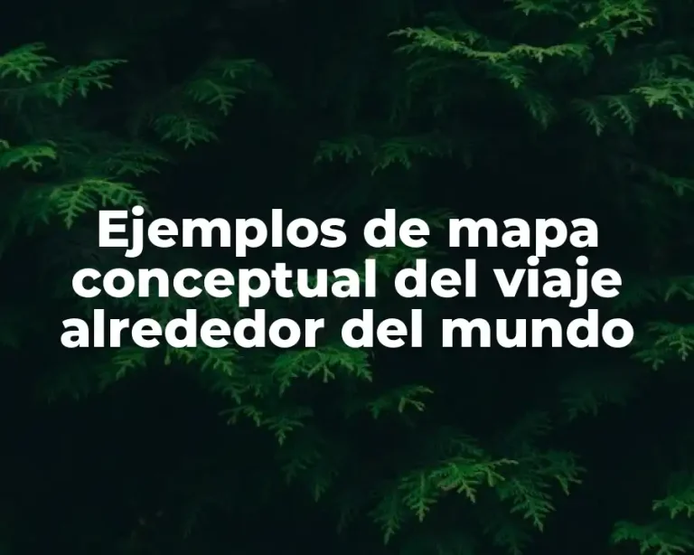 Ejemplos de mapa conceptual del viaje alrededor del mundo