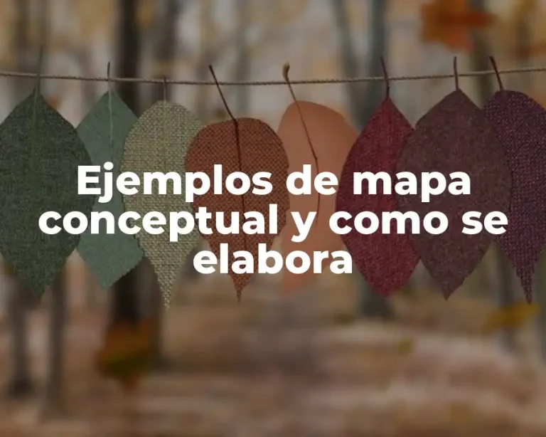 Ejemplos de mapa conceptual y como se elabora