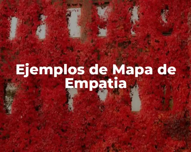 Ejemplos de Mapa de Empatia