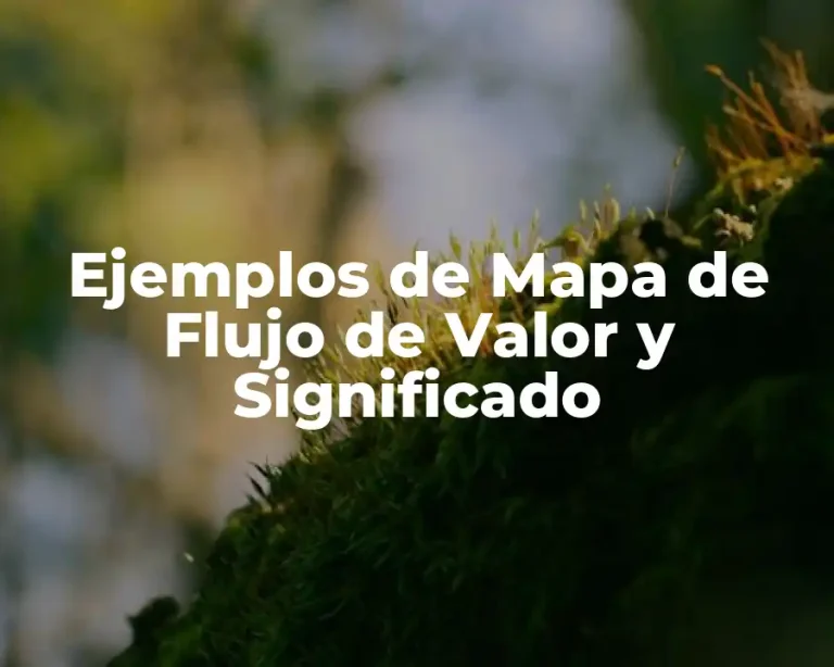 Ejemplos de Mapa de Flujo de Valor y Significado