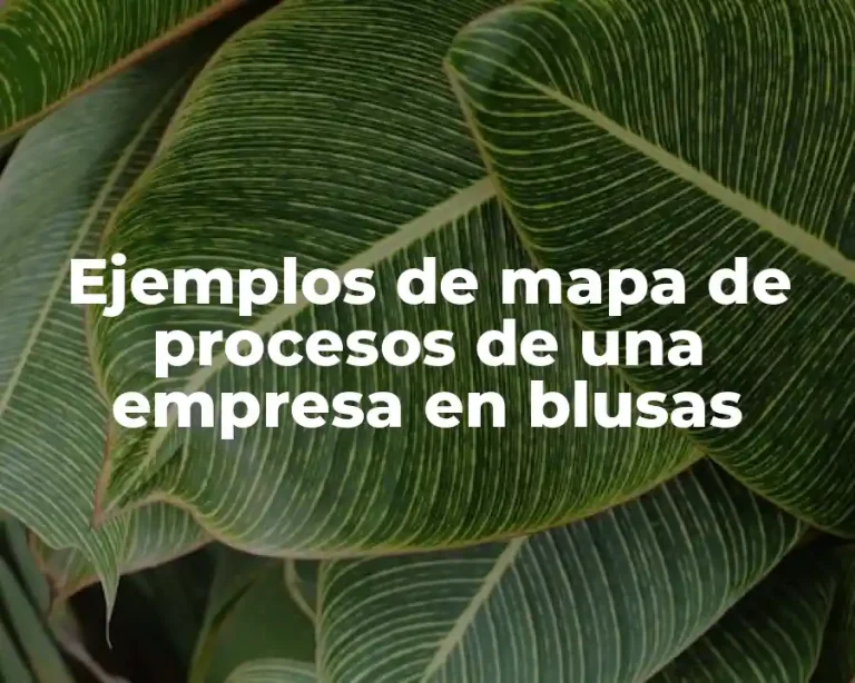 Ejemplos de mapa de procesos de una empresa en blusas