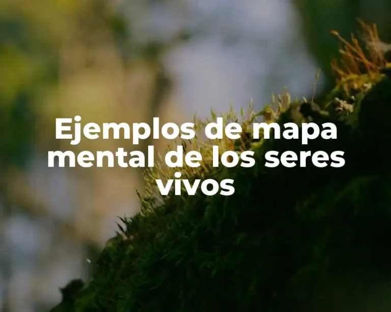 Ejemplos de mapa mental de los seres vivos