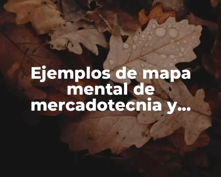 Ejemplos de mapa mental de mercadotecnia y Significado