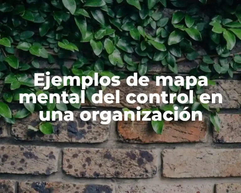 Ejemplos de mapa mental del control en una organización