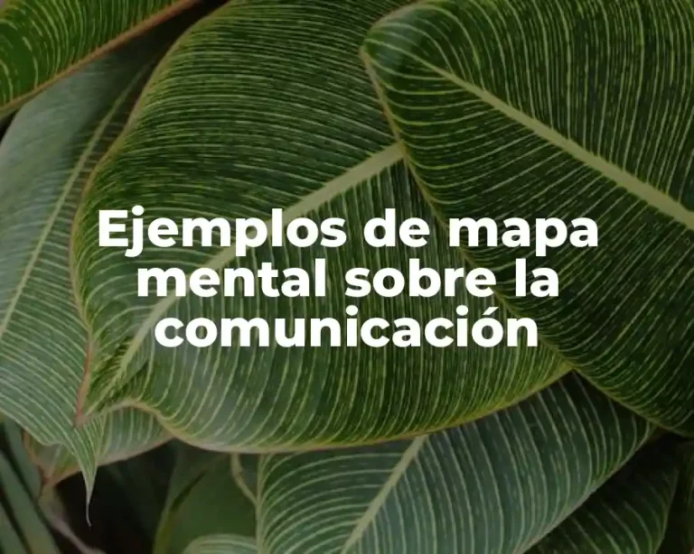 Ejemplos de mapa mental sobre la comunicación