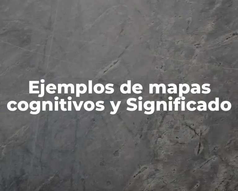 Ejemplos de mapas cognitivos y Significado