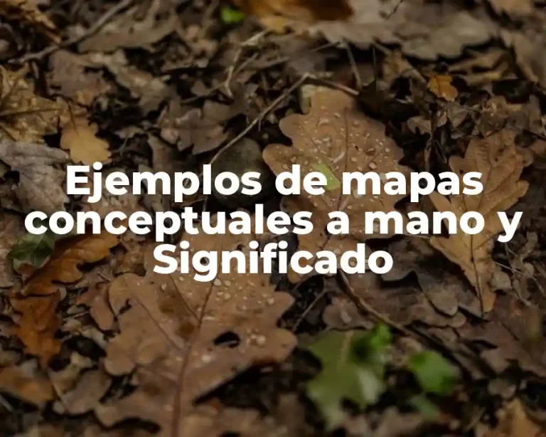 Ejemplos de mapas conceptuales a mano y Significado