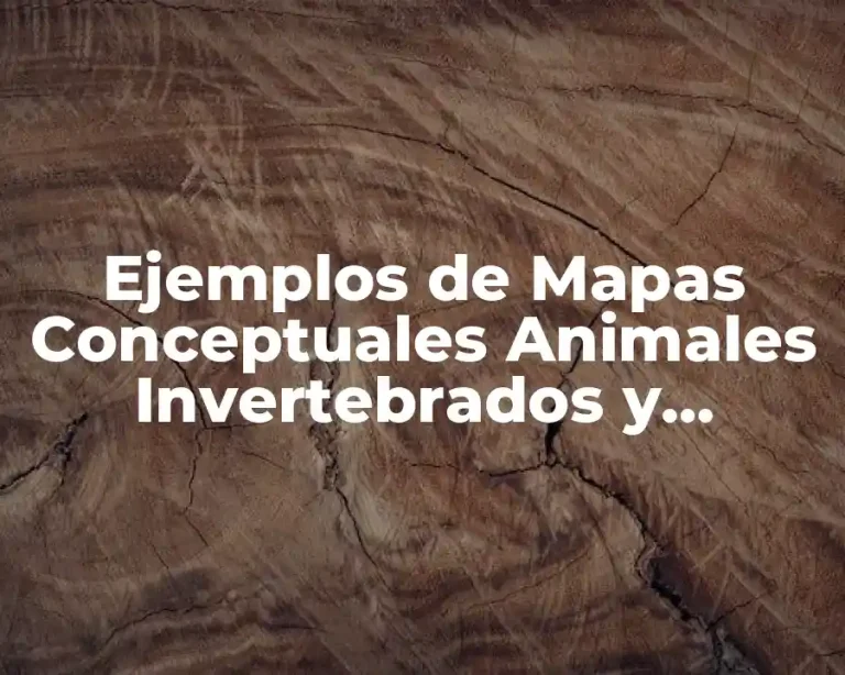 Ejemplos de Mapas Conceptuales Animales Invertebrados y Vertebrados Juntos