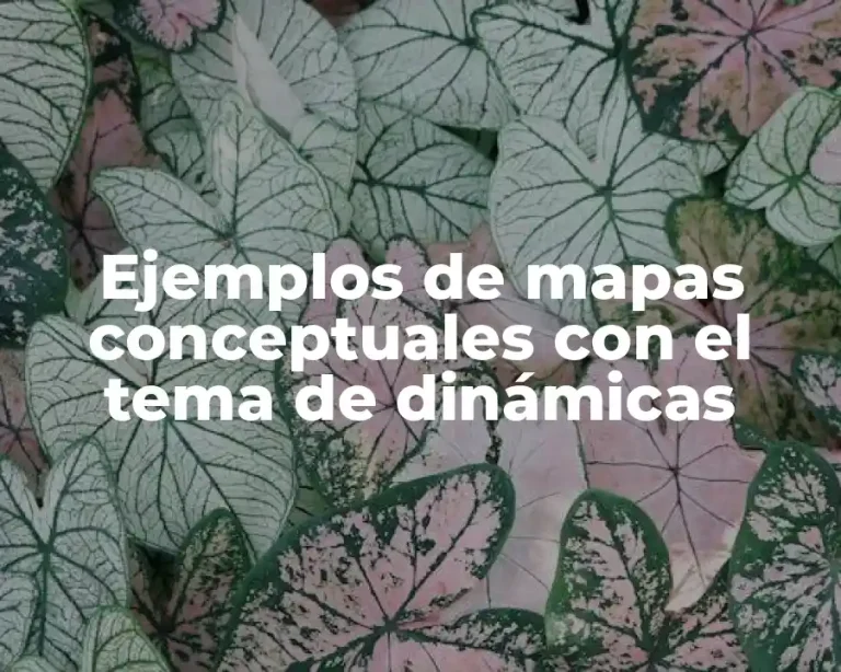 Ejemplos de mapas conceptuales con el tema de dinámicas