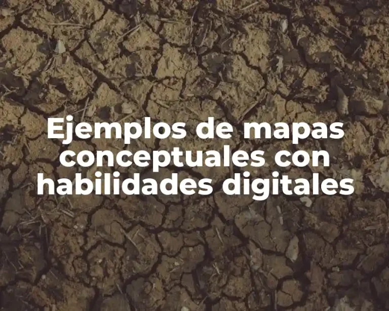Ejemplos de mapas conceptuales con habilidades digitales