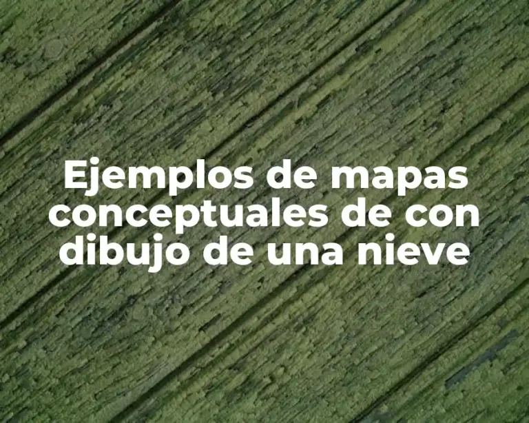 Ejemplos de mapas conceptuales de con dibujo de una nieve