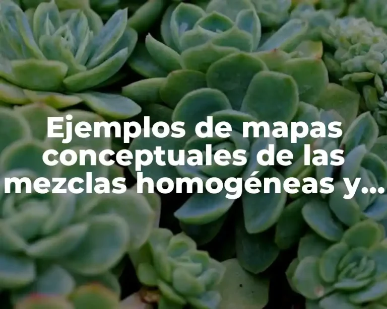 Ejemplos de mapas conceptuales de las mezclas homogéneas y heterogéneas