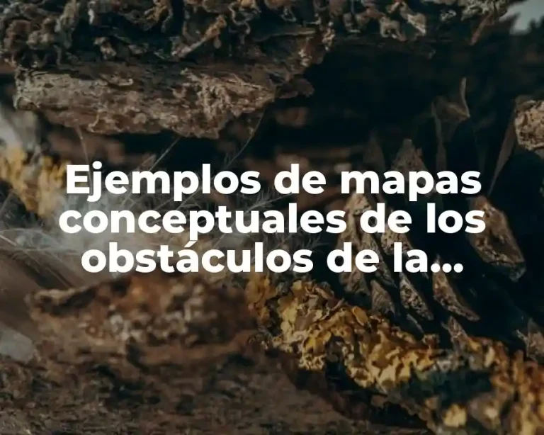 Ejemplos de mapas conceptuales de los obstáculos de la democracia