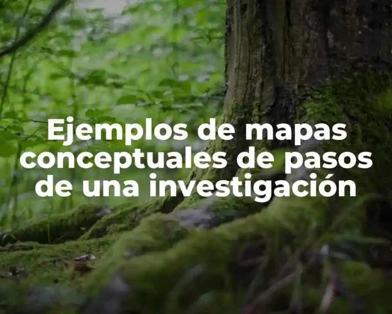 Ejemplos de mapas conceptuales de pasos de una investigación