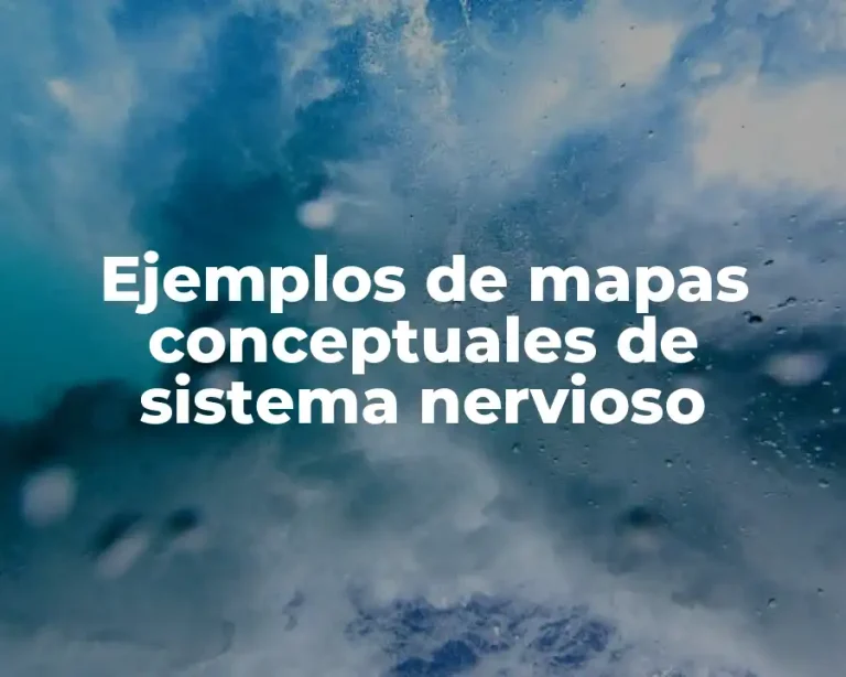 Ejemplos de mapas conceptuales de sistema nervioso