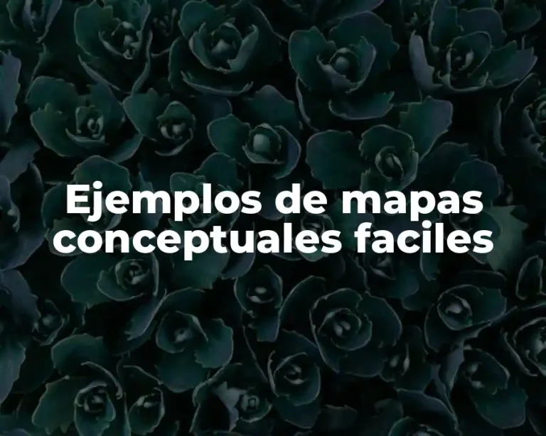 Ejemplos de mapas conceptuales faciles