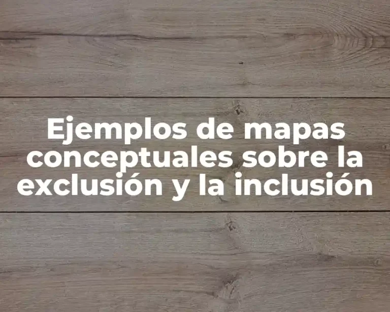 Ejemplos de mapas conceptuales sobre la exclusión y la inclusión
