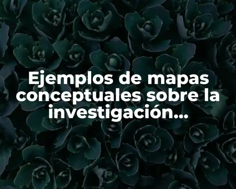 Ejemplos de mapas conceptuales sobre la investigación cuantitativa
