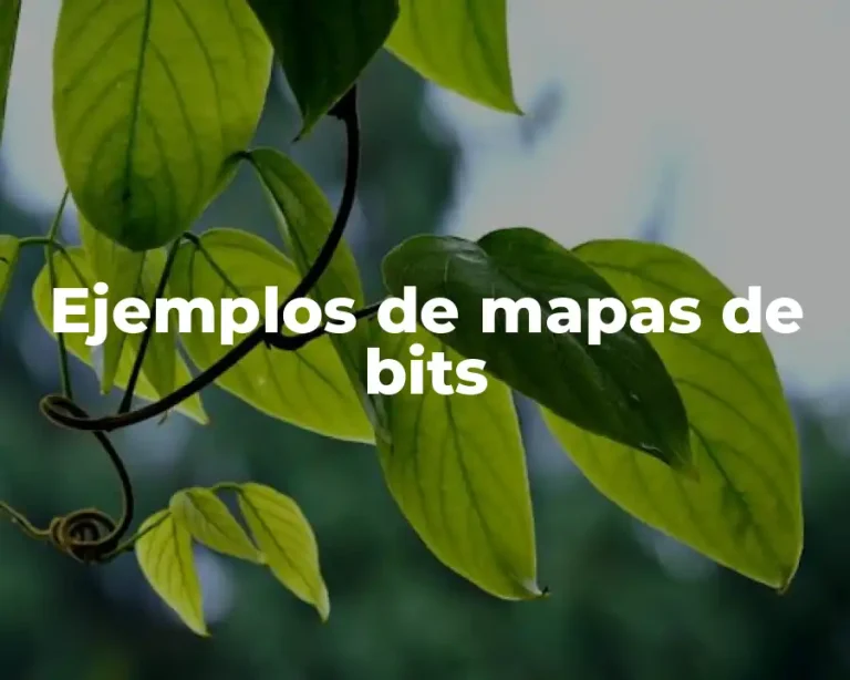 Ejemplos de mapas de bits
