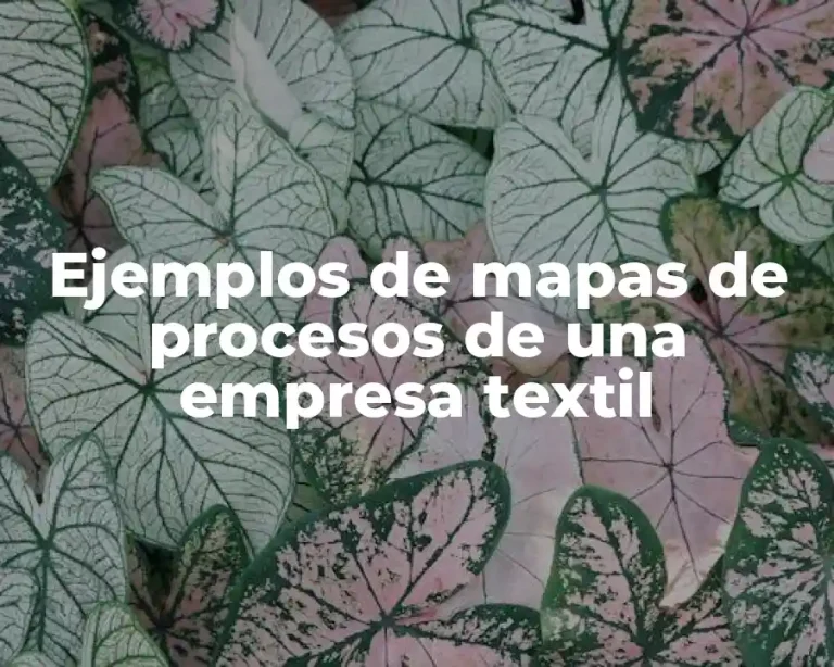 Ejemplos de mapas de procesos de una empresa textil