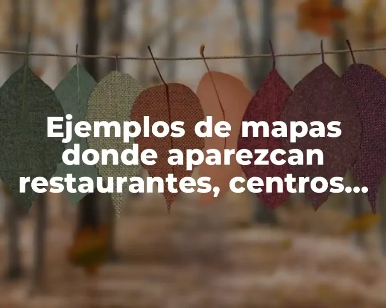 Ejemplos de mapas donde aparezcan restaurantes, centros comerciales y transporte y Significado