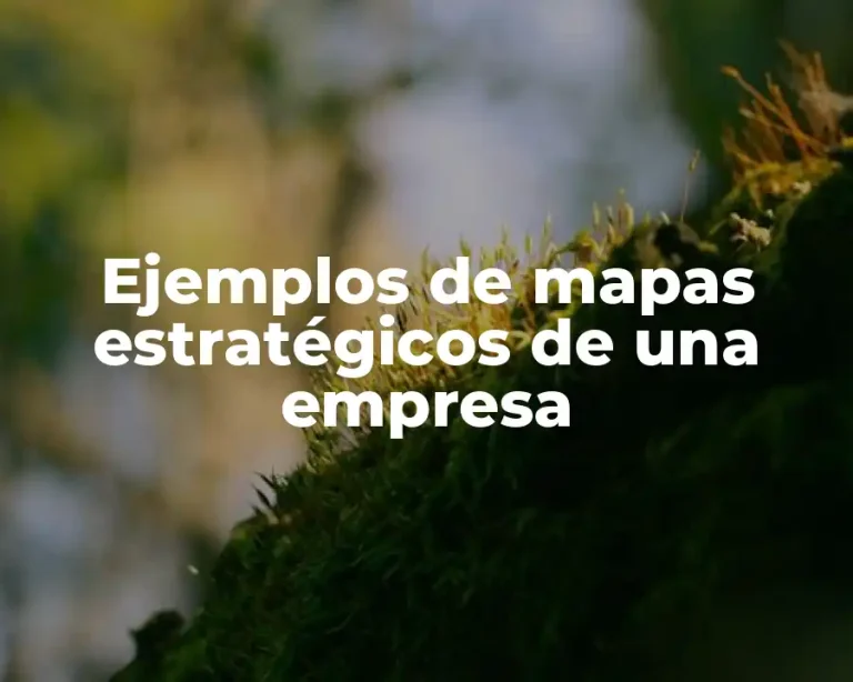 Ejemplos de mapas estratégicos de una empresa