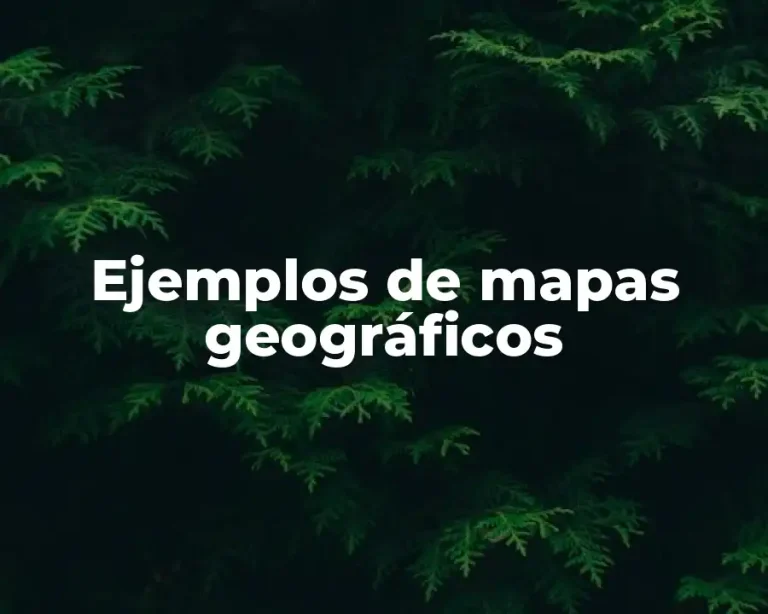 Ejemplos de mapas geográficos