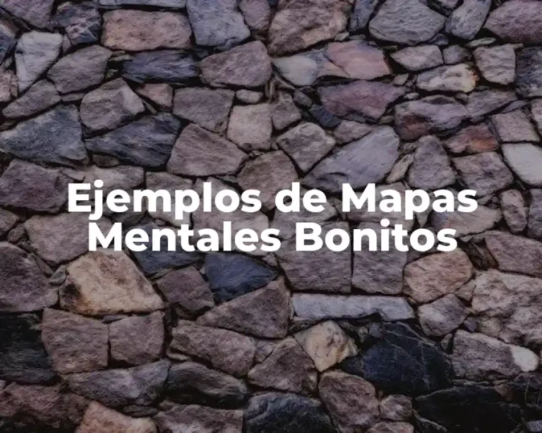 Ejemplos de Mapas Mentales Bonitos